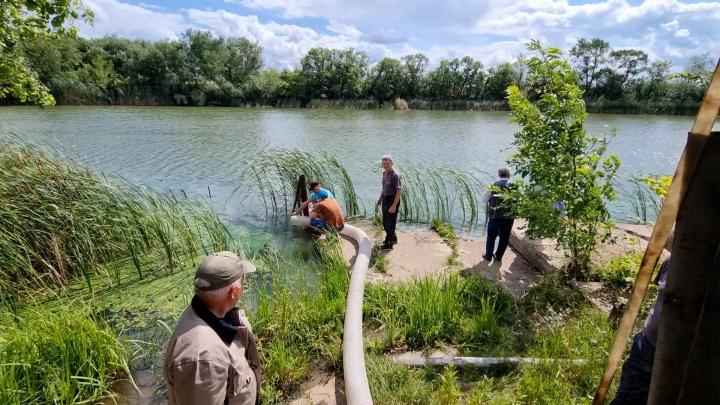 Стерлядь отправилась в свободное плавание 