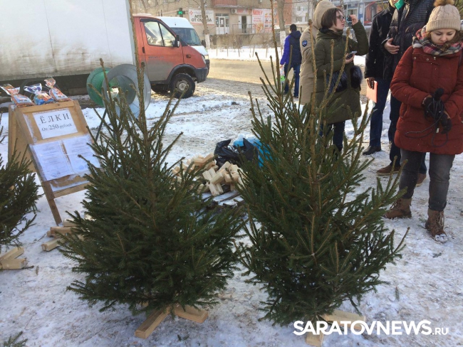 Купить Ель В Покровском Ростовской Области