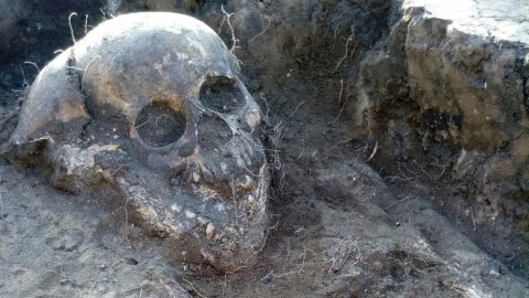 Саратовские археологи при раскопках в Укеке нашли монеты 1360 года