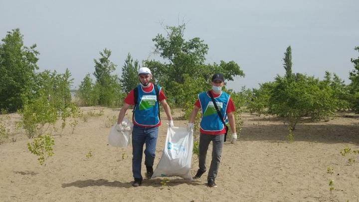 Два «КамАЗа» мусора вывезли с берега Волги в Саратове 