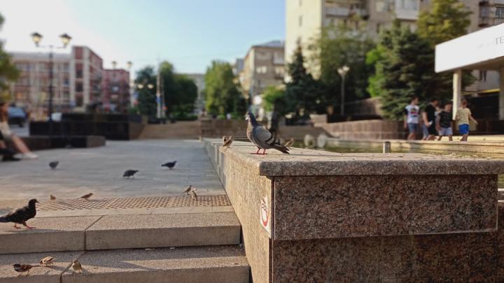 В Саратове ветрено и без осадков