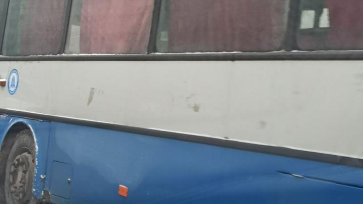 В саратовских автобусах нашли безбилетников
