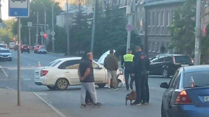 В Саратове автомобилист с собачкой попал в аварию 