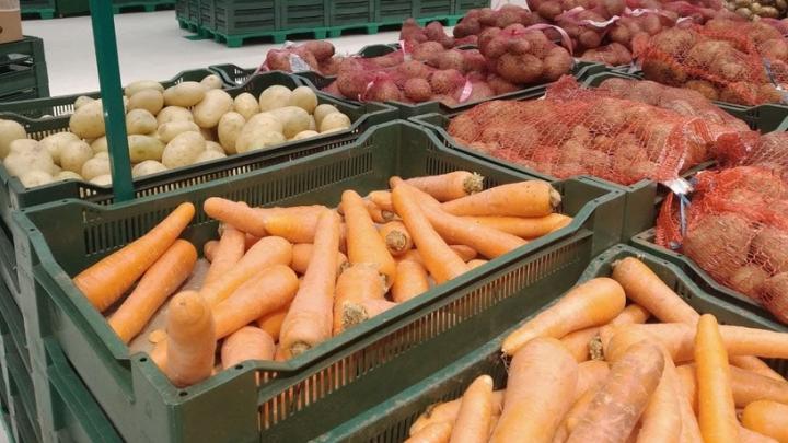 Морковь и капуста дорожают в Саратовской области