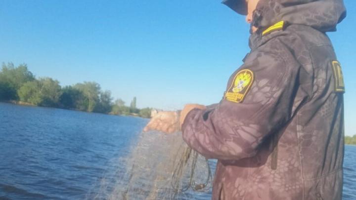 У саратовских рыбаков-браконьеров изъяли 2 км сетей