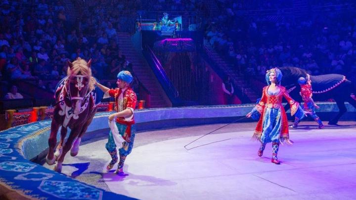 Меньше недели осталась до грандиозного события - начала гастролей нового шоу Гии Эрадзе «Песчаная сказка» в Саратовском цирке! 