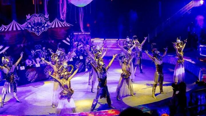 В Саратовском цирке рассказали о новом шоу Гии Эрадзе «Песчаная сказка»