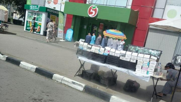 В Энгельсе нелегальные торговцы оккупировали автобусную остановку: чиновники и правоохранители бездействуют