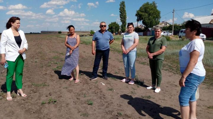 Жители села Заветы Ильича  Энгельсского района могут остаться без пастбищ