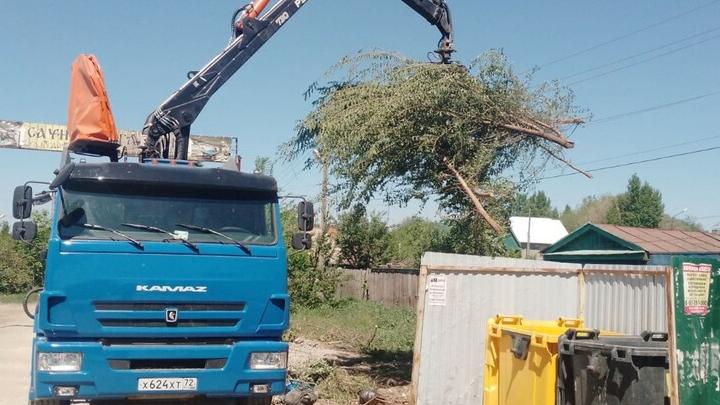 Саратовский регоператор в июне вывез почти 20 тыс. кубометров древесно-растительных отходов