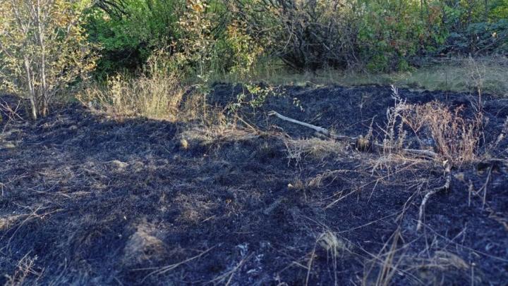 В саратовской Елшанке пожарные тушат траву и мусор