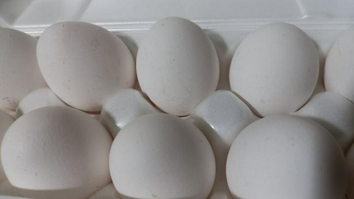 Саратовцам предлагают работать яйцесборщиками за солидную зарплату
