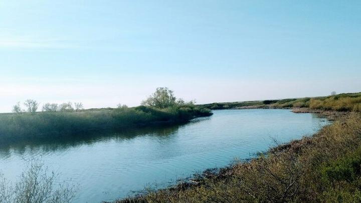 В реке Елань Саратовской области утонул мужчина