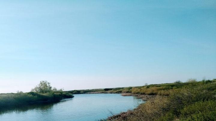 У турбазы «Хуторок» в Саратове нашли утонувшую женщину