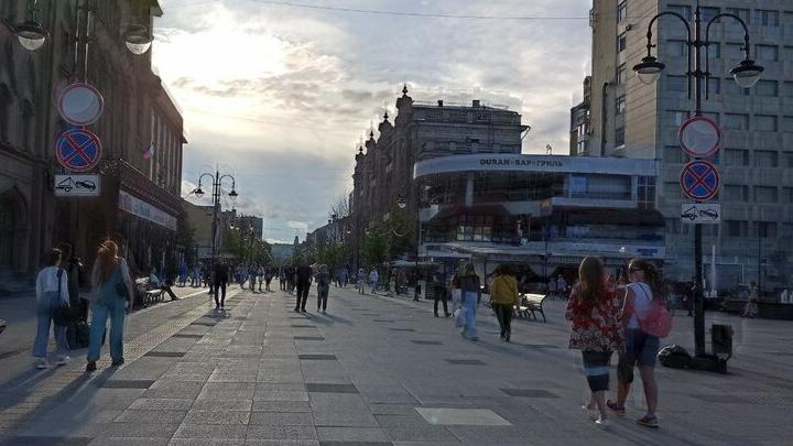 На проспекте Столыпина в Саратове появятся 30 вязов