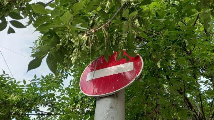 В Саратове из-за российско-китайского форума вводят ограничение движения транспорта