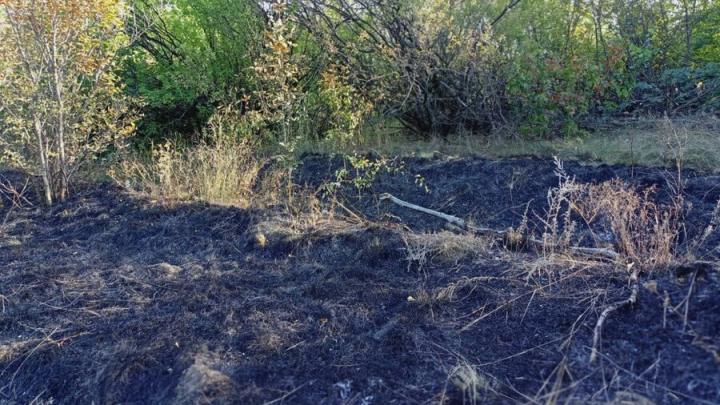 В Энгельсском районе горят 4 гектара сухой травы