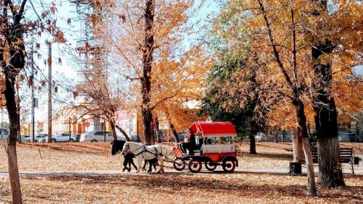 В Саратов приходит метеорологическая осень