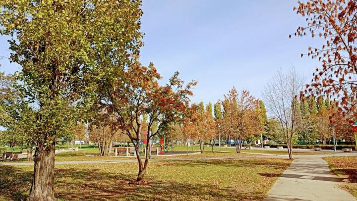 В Саратове днем тепло, ночью заморозки