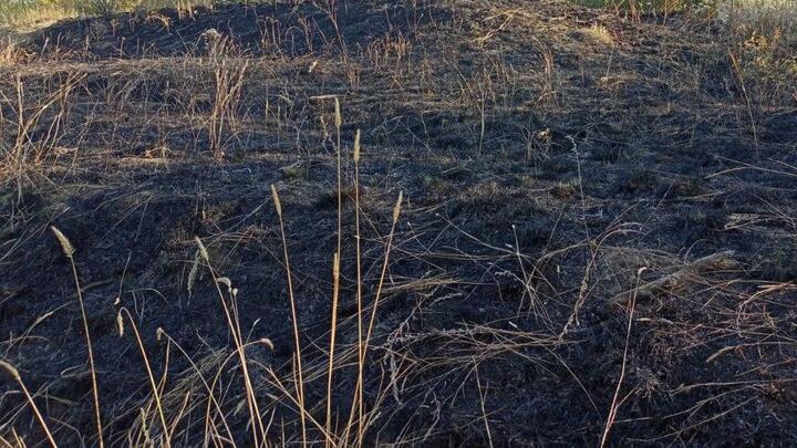 Ночью в Саратове горел мусор во дворе десятиэтажки