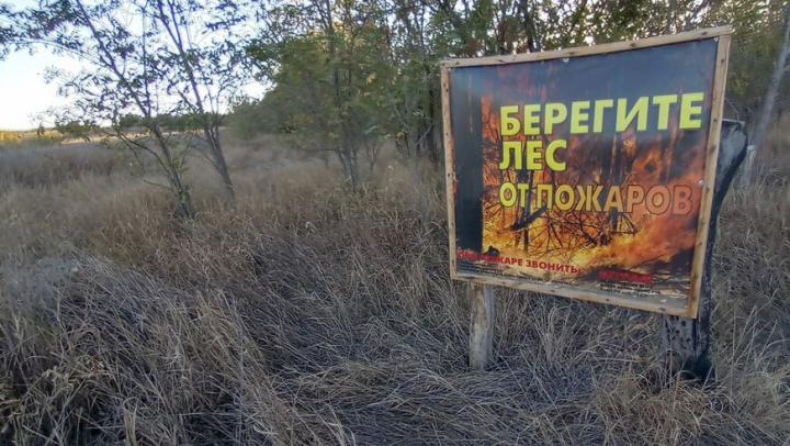 В Саратовской области продлен запрет на посещение лесов