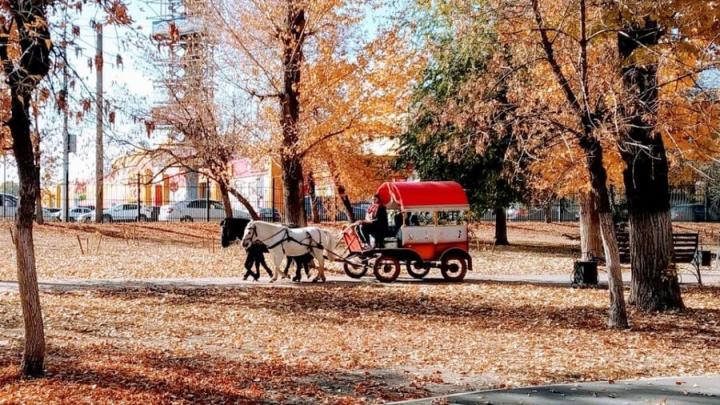 В Саратове потеплеет до +12 градусов