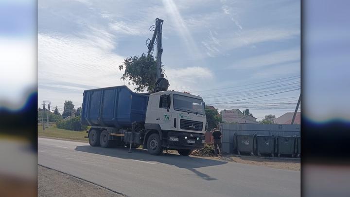 Саратовский регоператор за 9 месяцев вывез более 217 тыс. кубометров древесно-растительных отходов