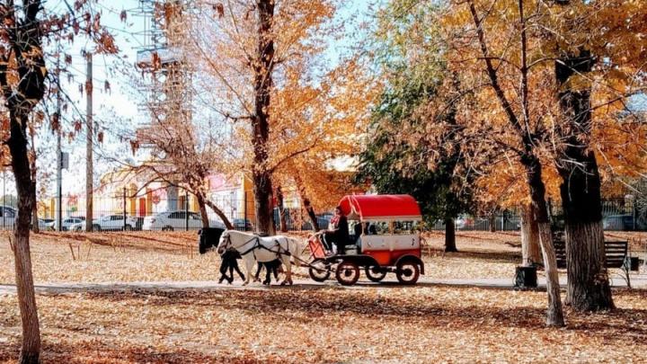 Осенний капустник, марафон скороговорок, викторина: куда пойти в Саратове