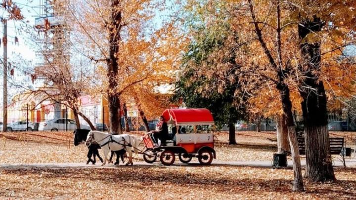 Куда пойти в Саратове: тренинги, беседы, концерты