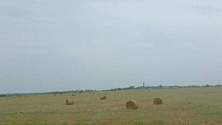 В Марксовском районе сгорело 1,4 тонны сена