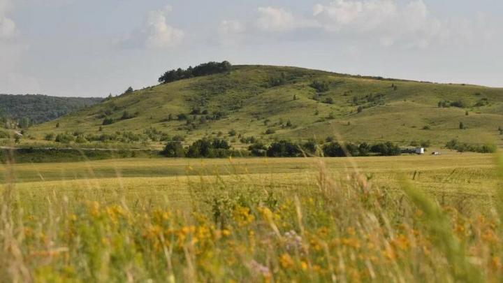 Две локации в Саратовской области стали курортами