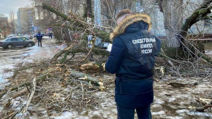 В Энгельсе будут судить экс-чиновника за халатность