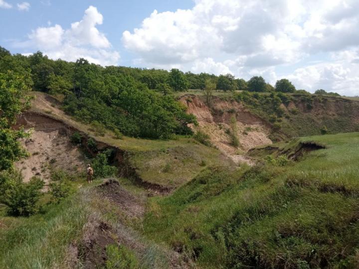 В Лысогорском районе Саратовской области появится новый памятник природы