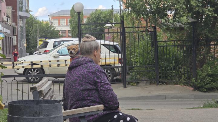 В Саратове началась кампания по вакцинации домашних животных от бешенства