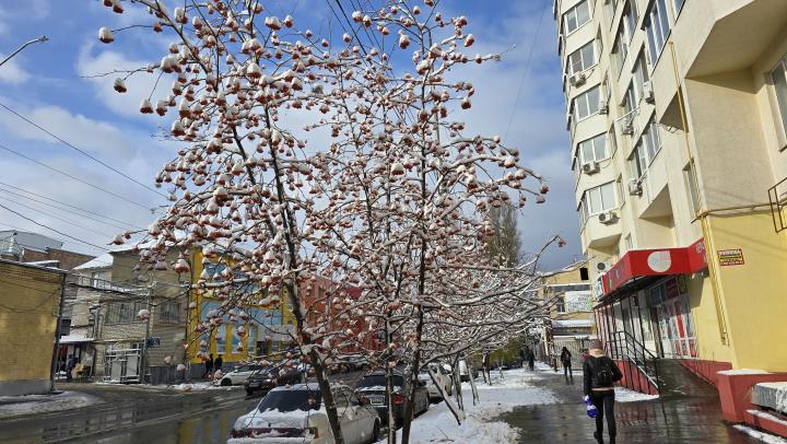 В Саратове холодная и снежная суббота