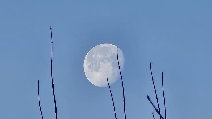  «Чёрная» Луна появится в небе над Саратовом